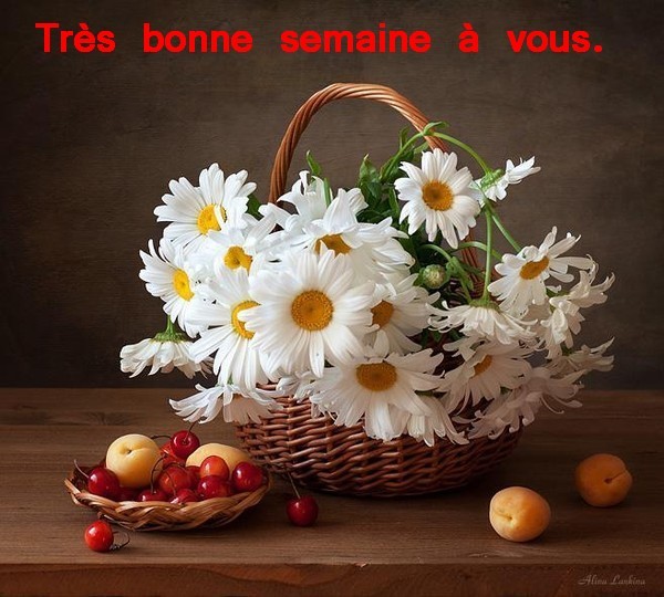 Résultat de recherche d'images pour "gif bonne semaine"